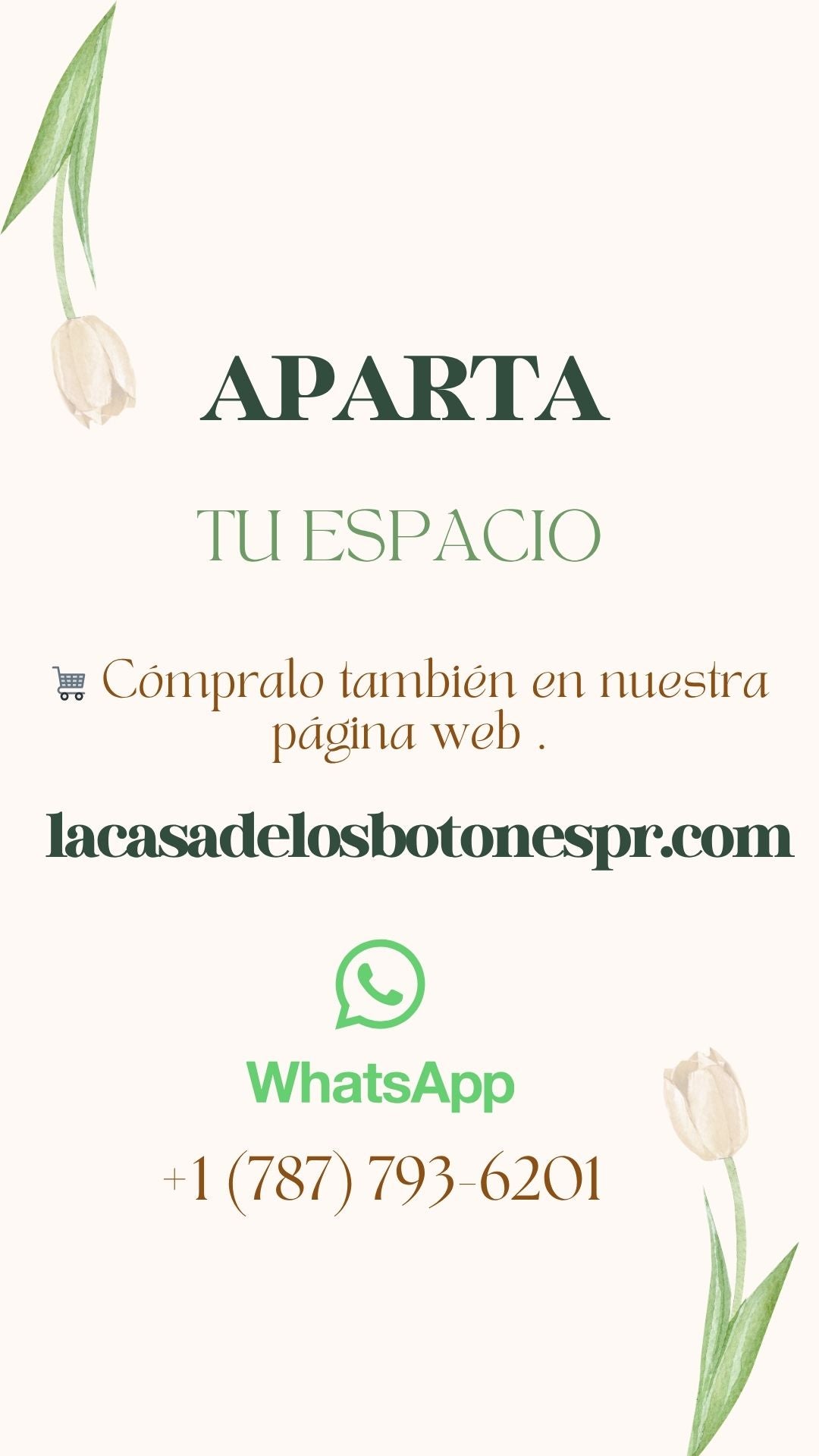 Taller Cartera Tejida