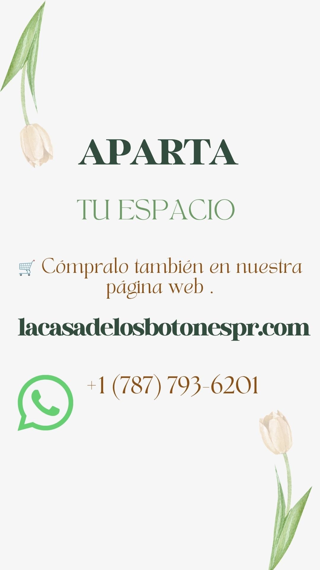 Taller Cartera de rabo de ratón