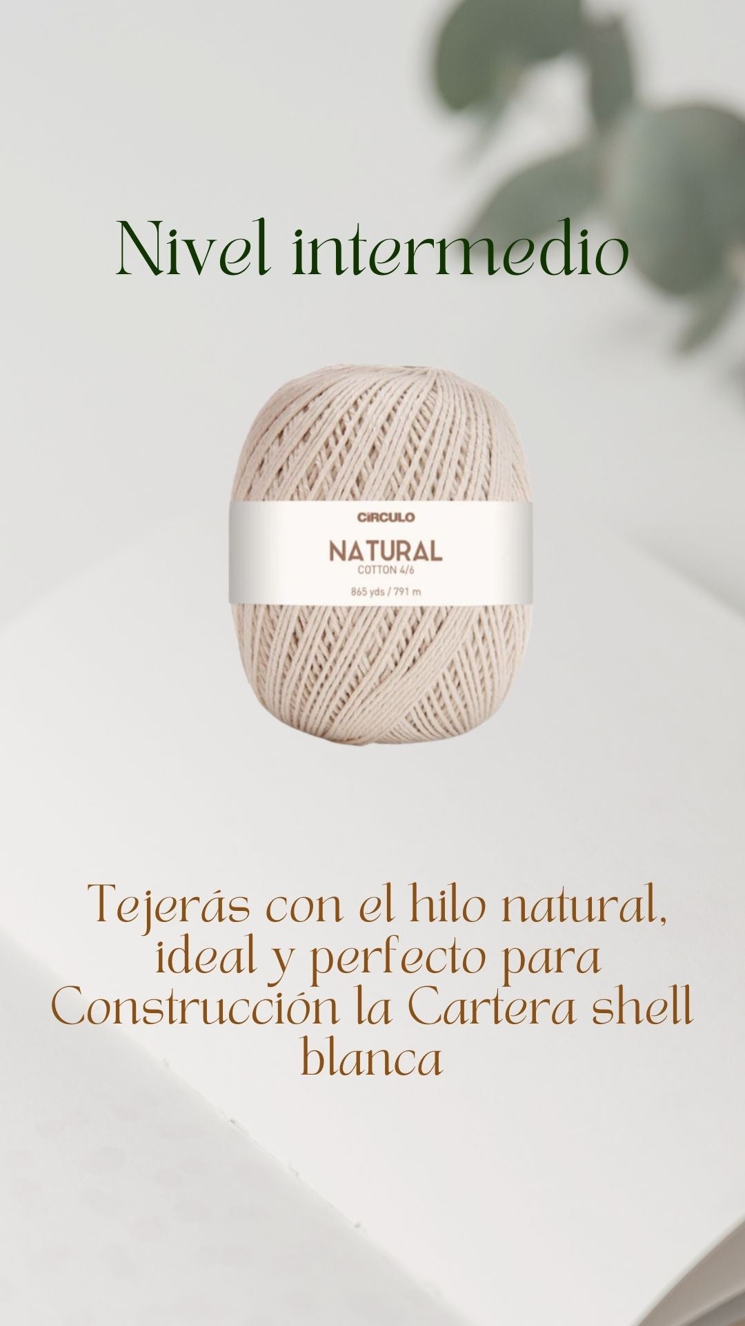 Taller Cartera Shell Blanca