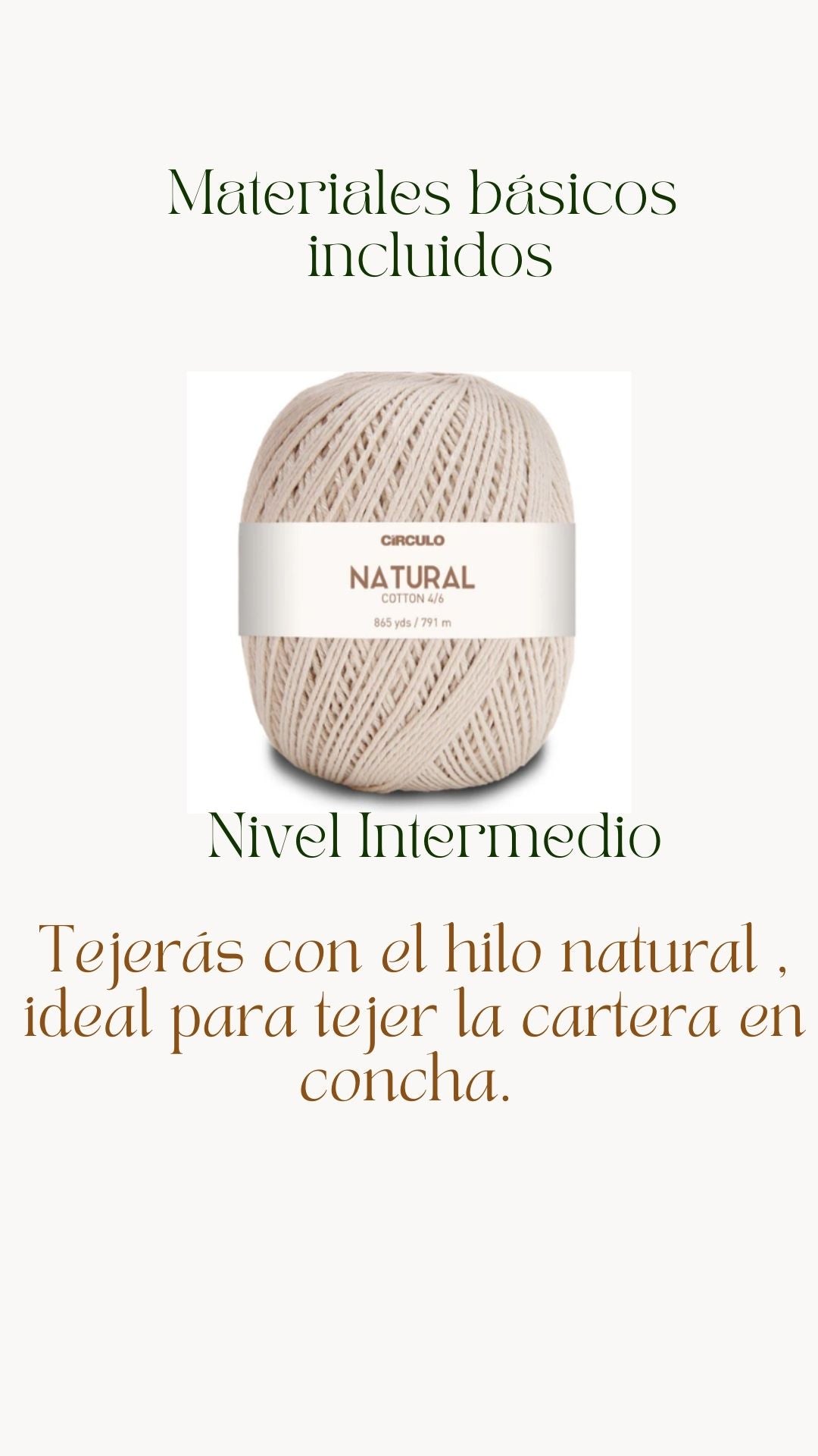 Taller Cartera de concha