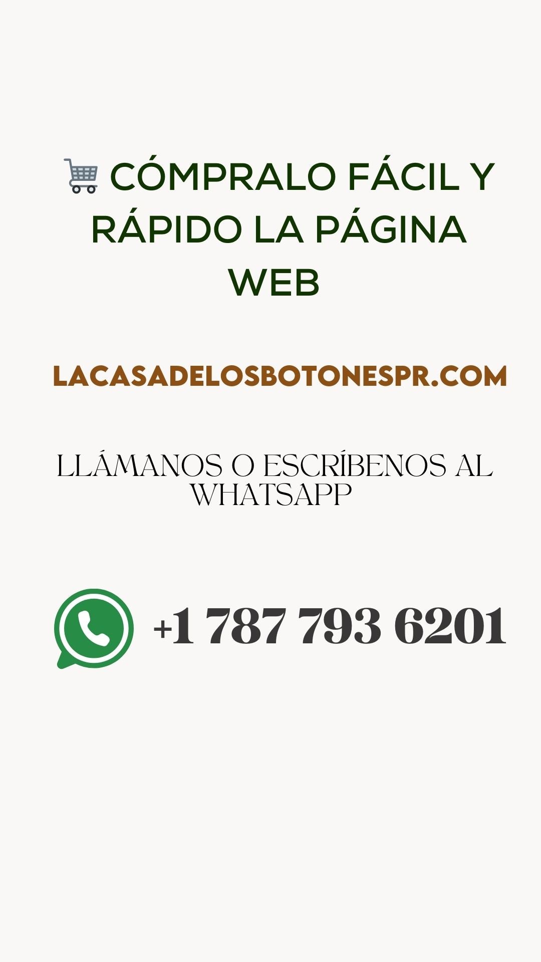 Taller Cartera de concha
