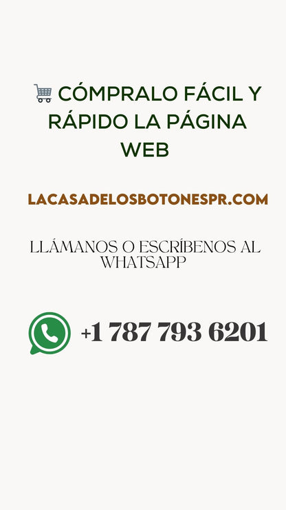 Taller Cartera de concha