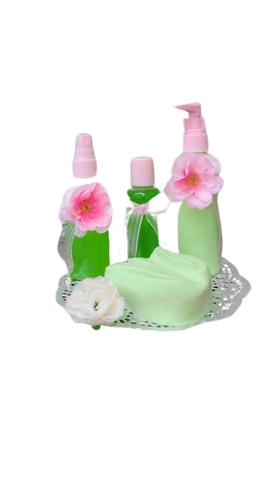 Taller de Spa