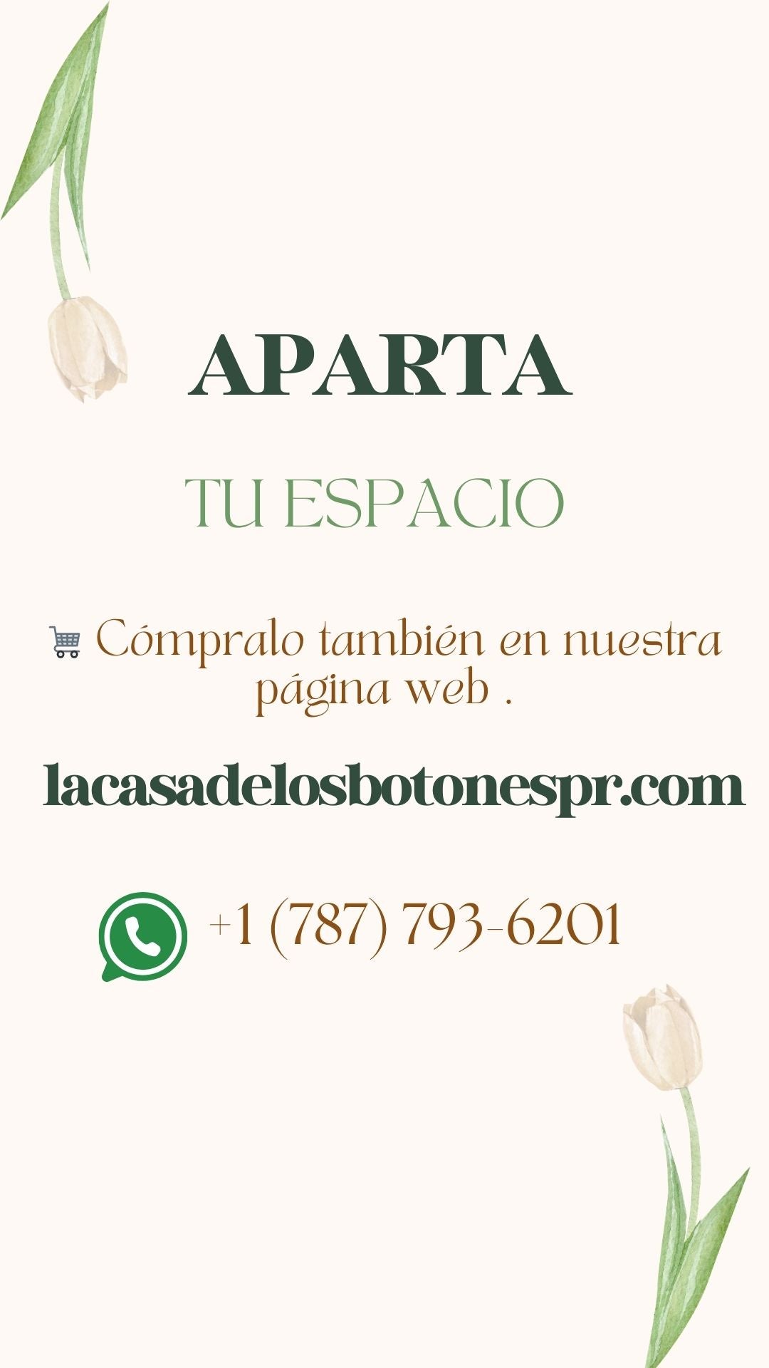 Taller Camisa Tejida