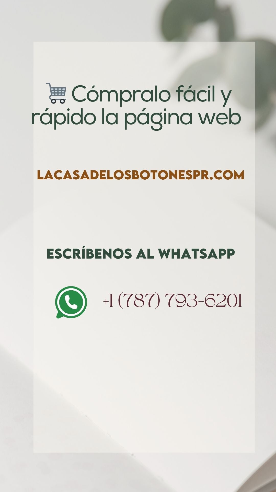 Taller Cartera Tejida