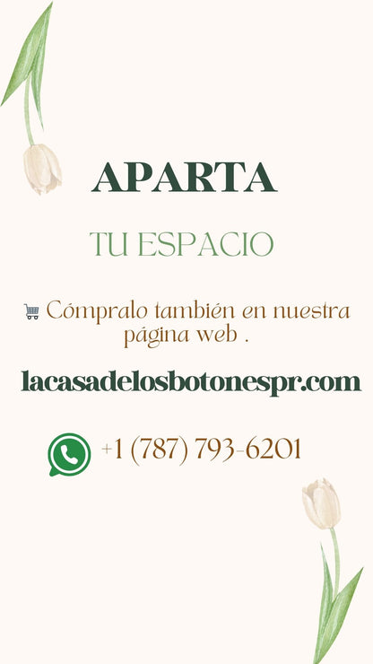 Taller Concha Cartera
